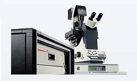 突破三维极限 Leica SR GSD 3D三维定位显微镜的超分辨率系统解析